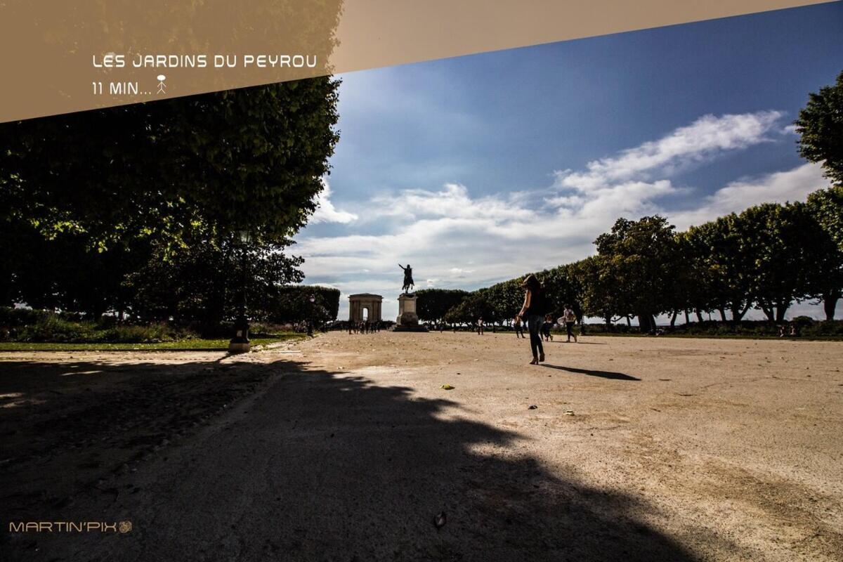 L'Amoureux - Terrasse Et Climatisation Coeur De Ville มงต์เปอลิเยร์ ภายนอก รูปภาพ